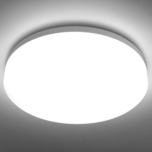 12W Bathroom Ceiling Light