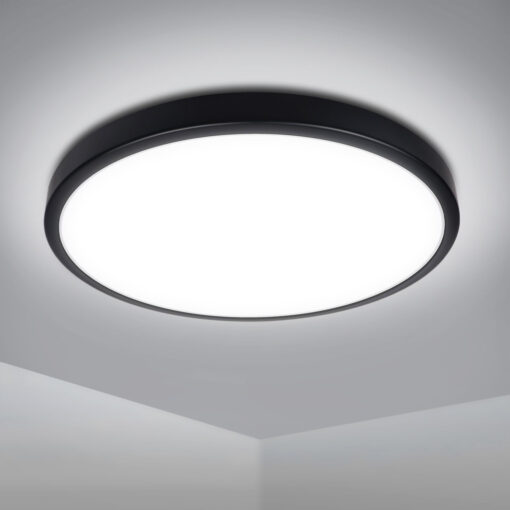 18W Bathroom Ceiling Light Black