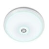 Infrared Sensor Ceiling Light